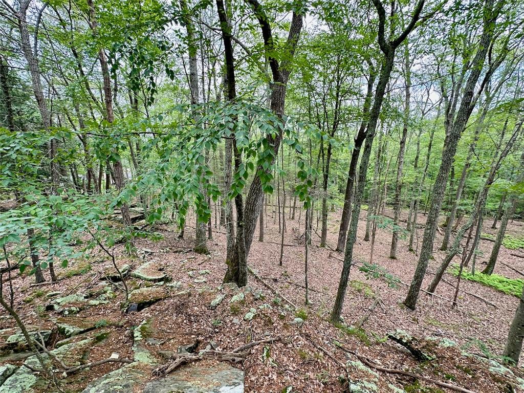 #14 photo, Baran Drive, Glen Spey , NY 12737