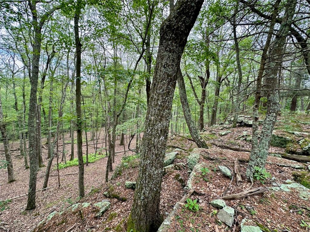 #15 photo, Baran Drive, Glen Spey , NY 12737