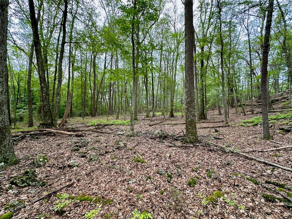 #17 photo, Baran Drive, Glen Spey , NY 12737