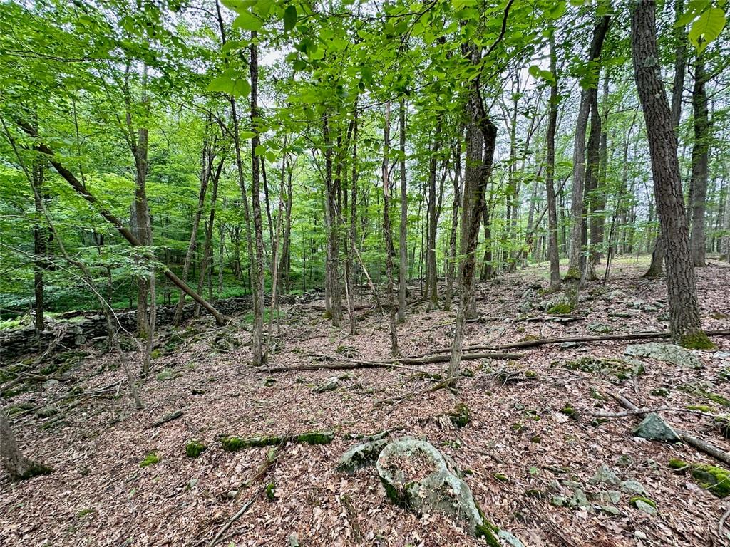 #18 photo, Baran Drive, Glen Spey , NY 12737