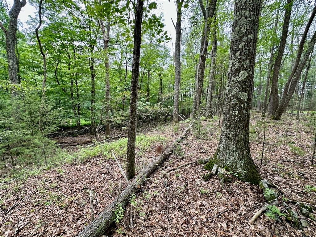 #20 photo, Baran Drive, Glen Spey , NY 12737