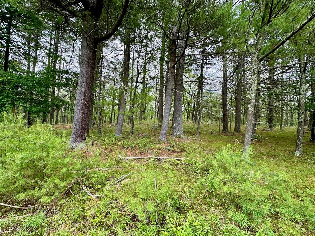 #9 photo, Baran Drive, Glen Spey , NY 12737