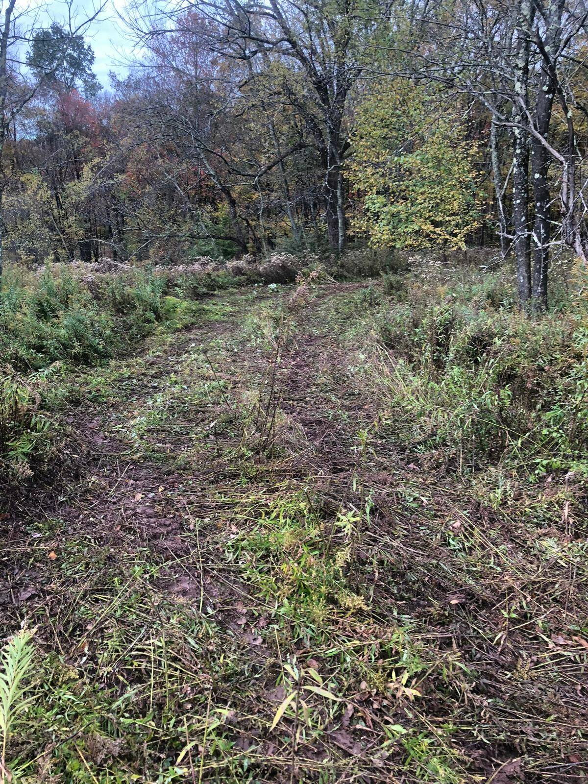 #3 photo, 126 Devany Road, Ferndale , NY 12734