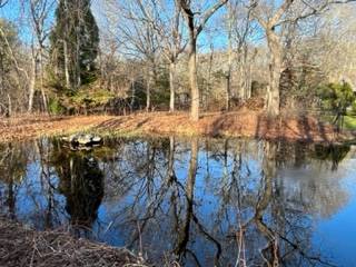 #8 photo, 46 Towhee Trail, サフォーク郡 East Hampton , NY 11937