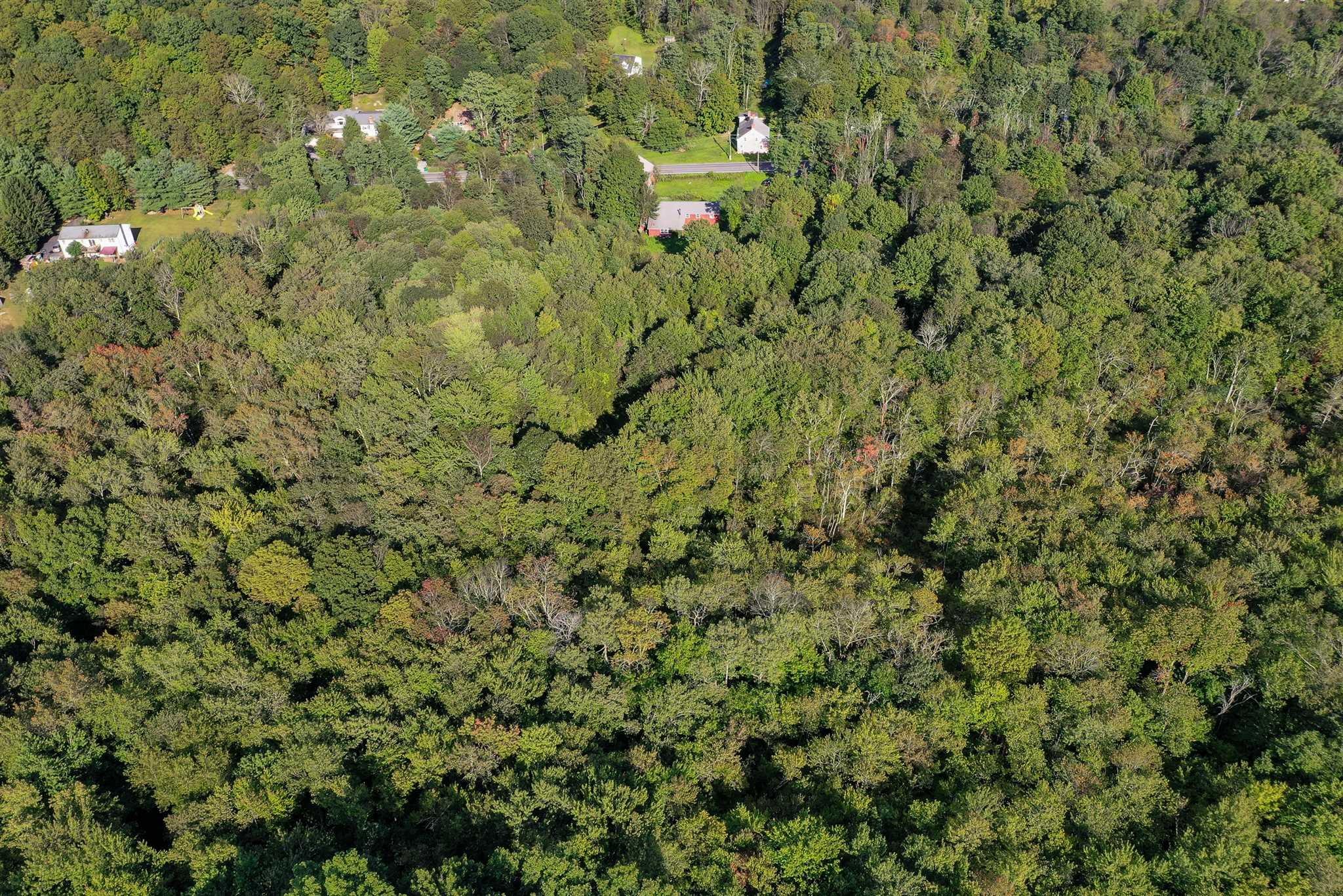 #19 photo, 2723 ROUTE 82, Lagrangeville , NY 12540