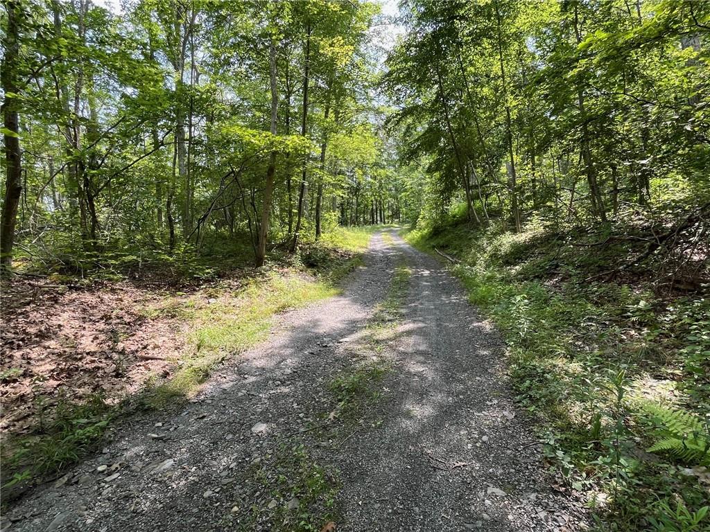 #10 photo, CASCADE MOUNTAIN Road, Amenia , NY 12501