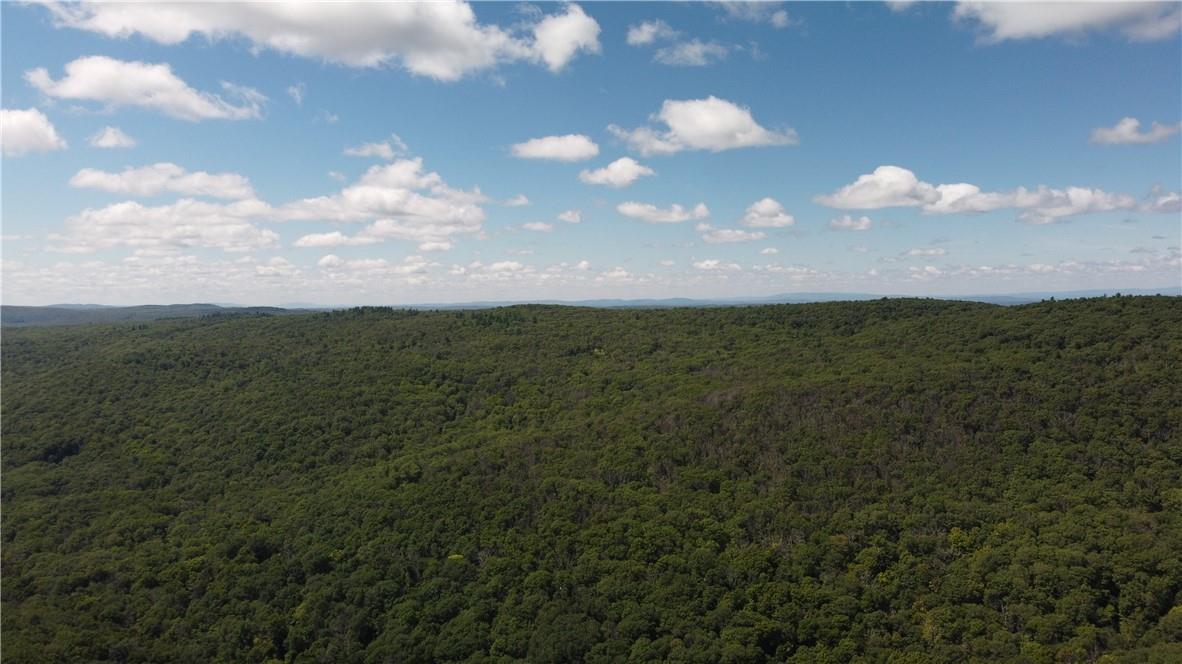 #15 photo, CASCADE MOUNTAIN Road, Amenia , NY 12501