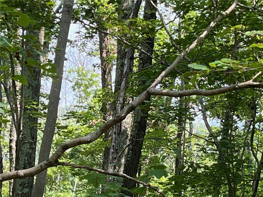 #6 photo, CASCADE MOUNTAIN Road, Amenia , NY 12501