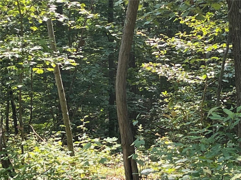 #8 photo, CASCADE MOUNTAIN Road, Amenia , NY 12501