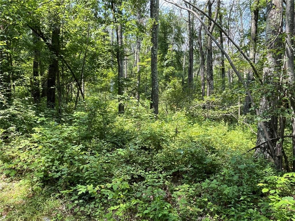 #9 photo, CASCADE MOUNTAIN Road, Amenia , NY 12501