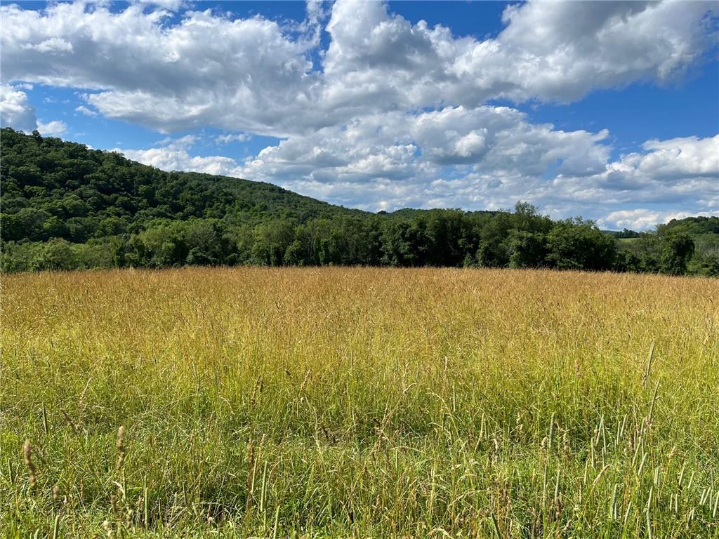 #10 photo, PERRYS CORNERS Road, Amenia , NY 12501