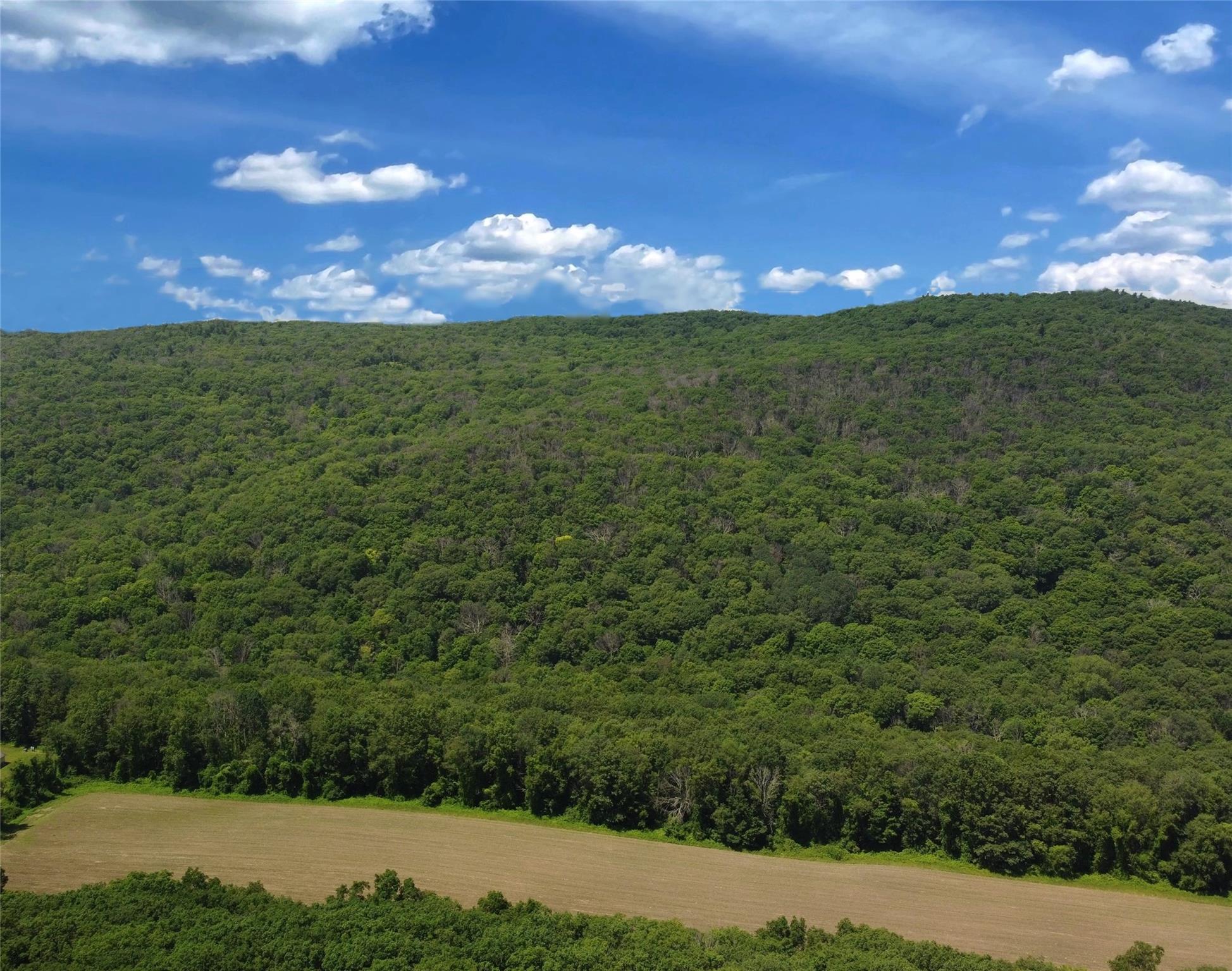 #12 photo, PERRYS CORNERS Road, Amenia , NY 12501