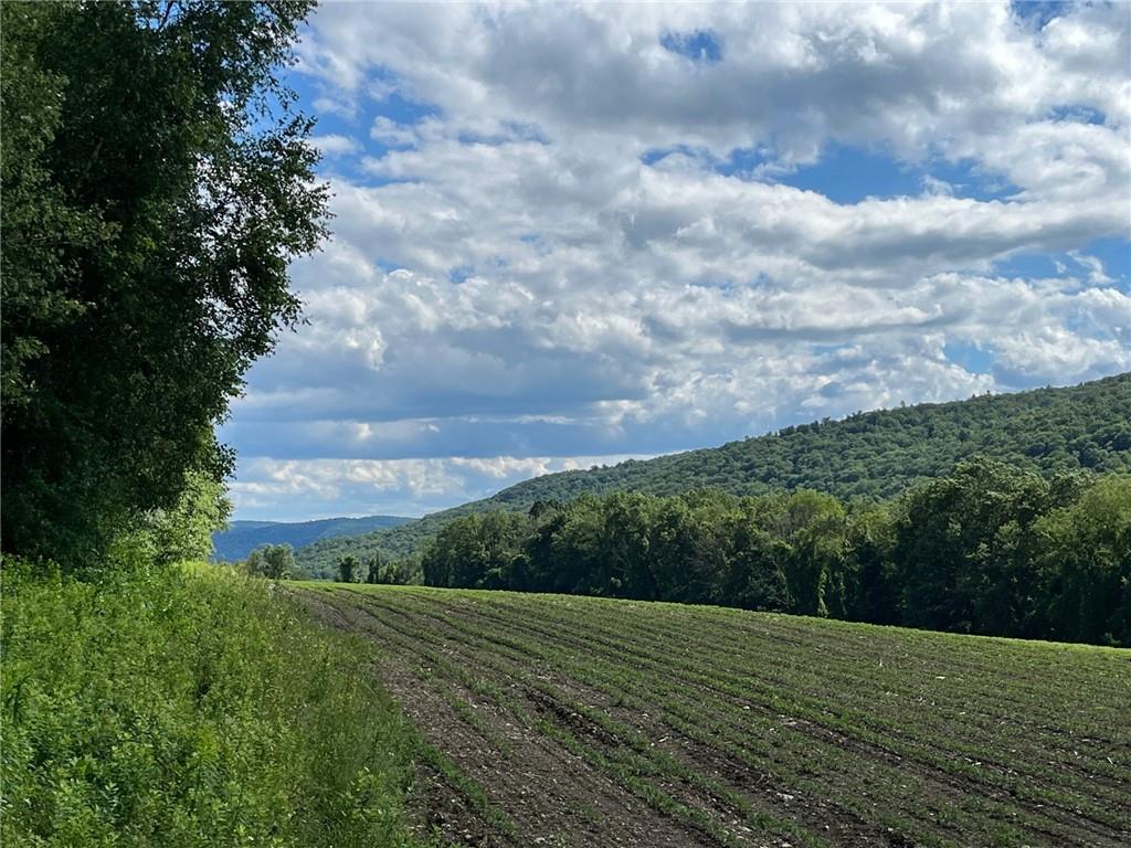 #2 photo, PERRYS CORNERS Road, Amenia , NY 12501