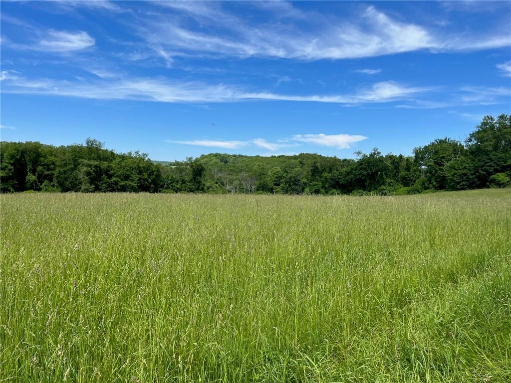 #6 photo, PERRYS CORNERS Road, Amenia , NY 12501