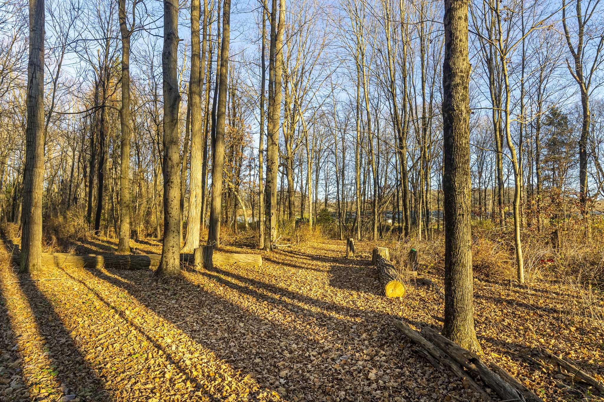 #11 photo, ROUTE 82, Stanfordville , NY 12581