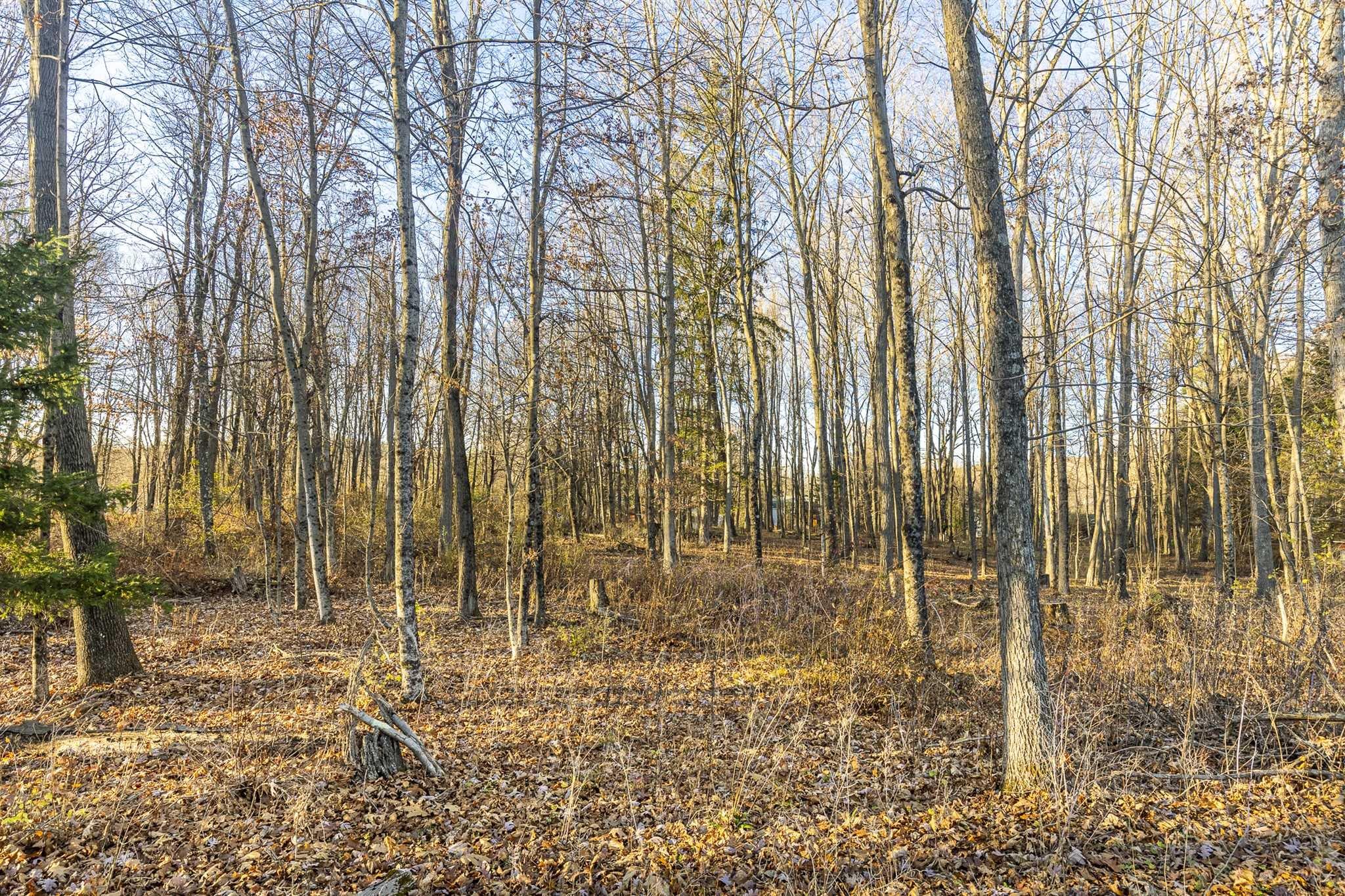 #12 photo, ROUTE 82, Stanfordville , NY 12581