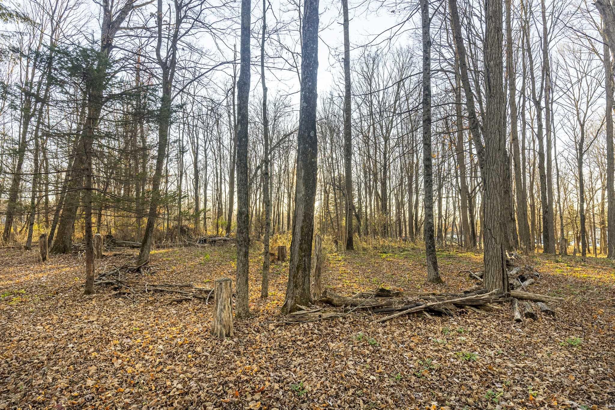 #13 photo, ROUTE 82, Stanfordville , NY 12581