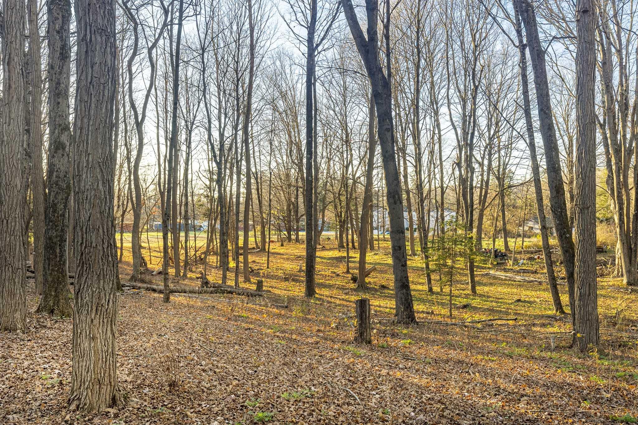 #14 photo, ROUTE 82, Stanfordville , NY 12581