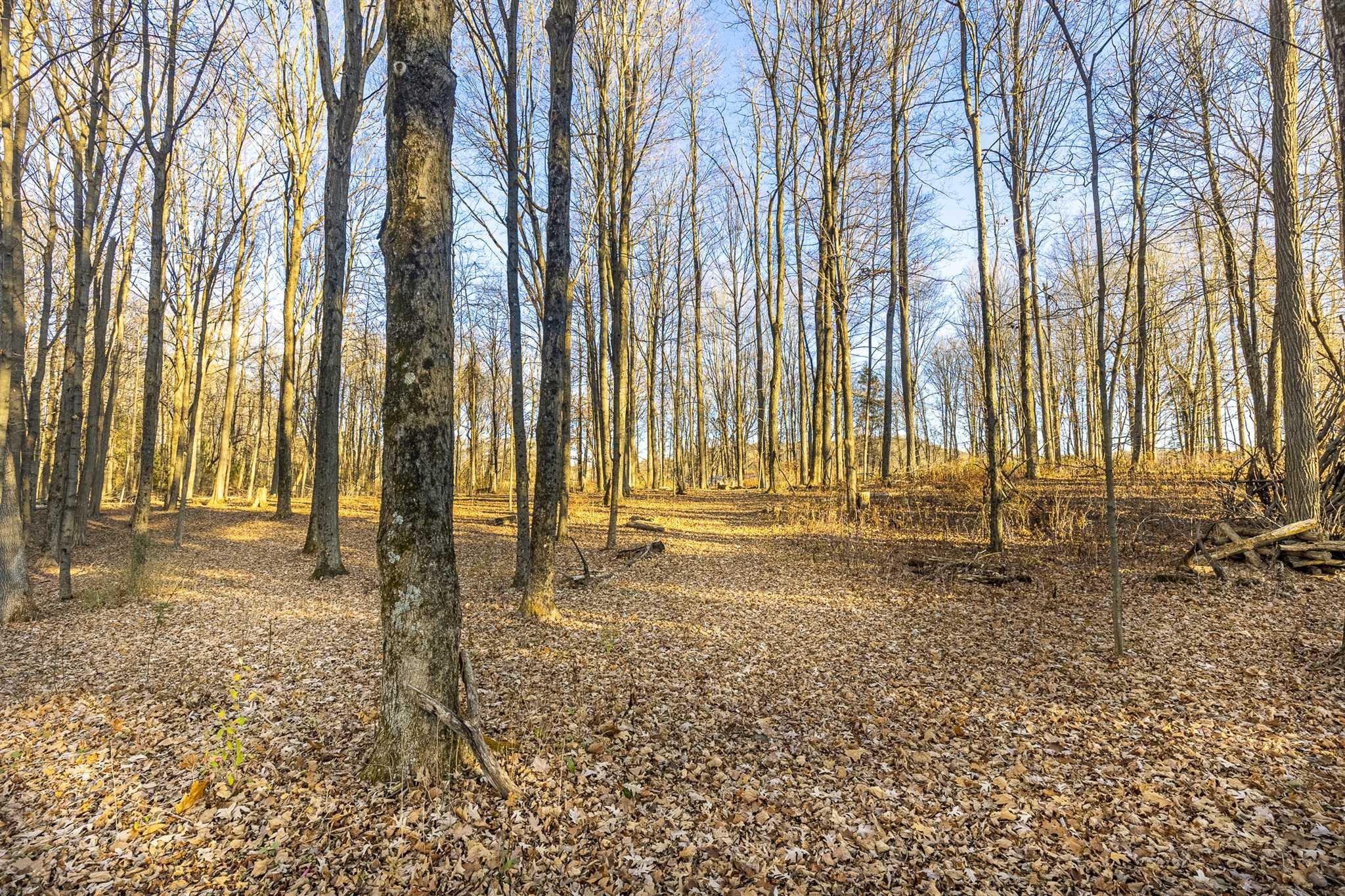 #7 photo, ROUTE 82, Stanfordville , NY 12581