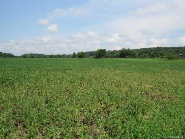 #10 photo, COUNTY ROAD 19, Germantown , NY 12523