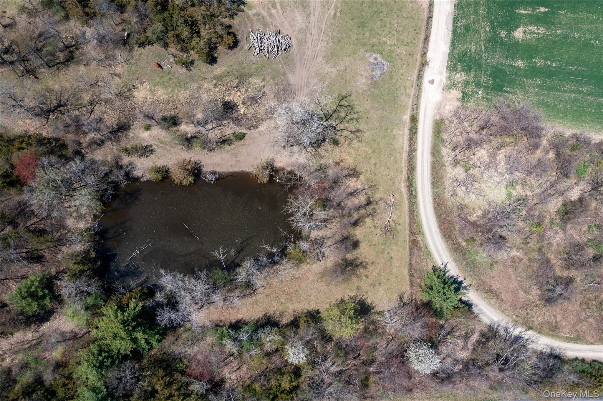 #18 photo, COUNTY ROAD 19, Germantown , NY 12523