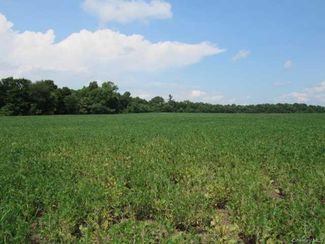 #9 photo, COUNTY ROAD 19, Germantown , NY 12523