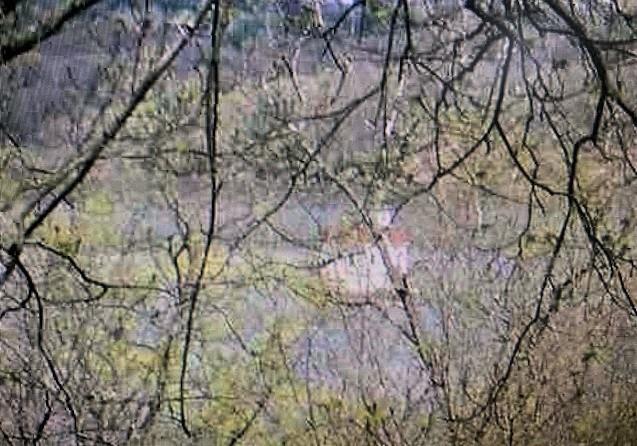 #2 photo, 272 River Road, Ulster Park , NY 12487