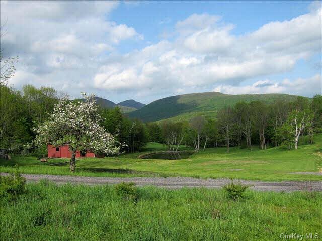 #1 photo, 369 MINK HOLLOW Road, Lake Hill , NY 12409