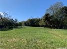 385 New Suffolk Avenue 东长岛 Mattituck, NY