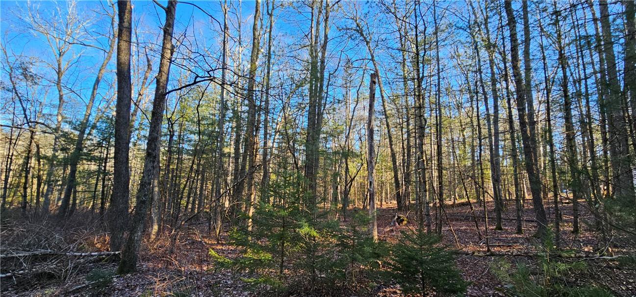 #6 photo, Lot 57.1 Yulan-Barryville Road, Barryville , NY 12719