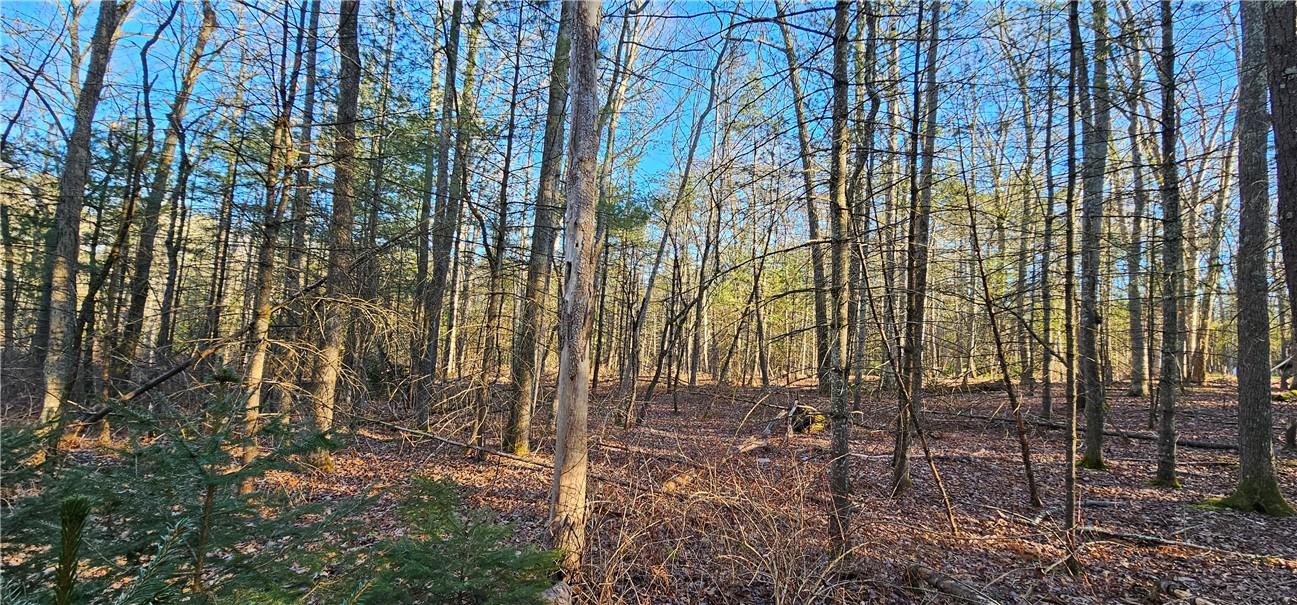 #8 photo, Lot 57.1 Yulan-Barryville Road, Barryville , NY 12719