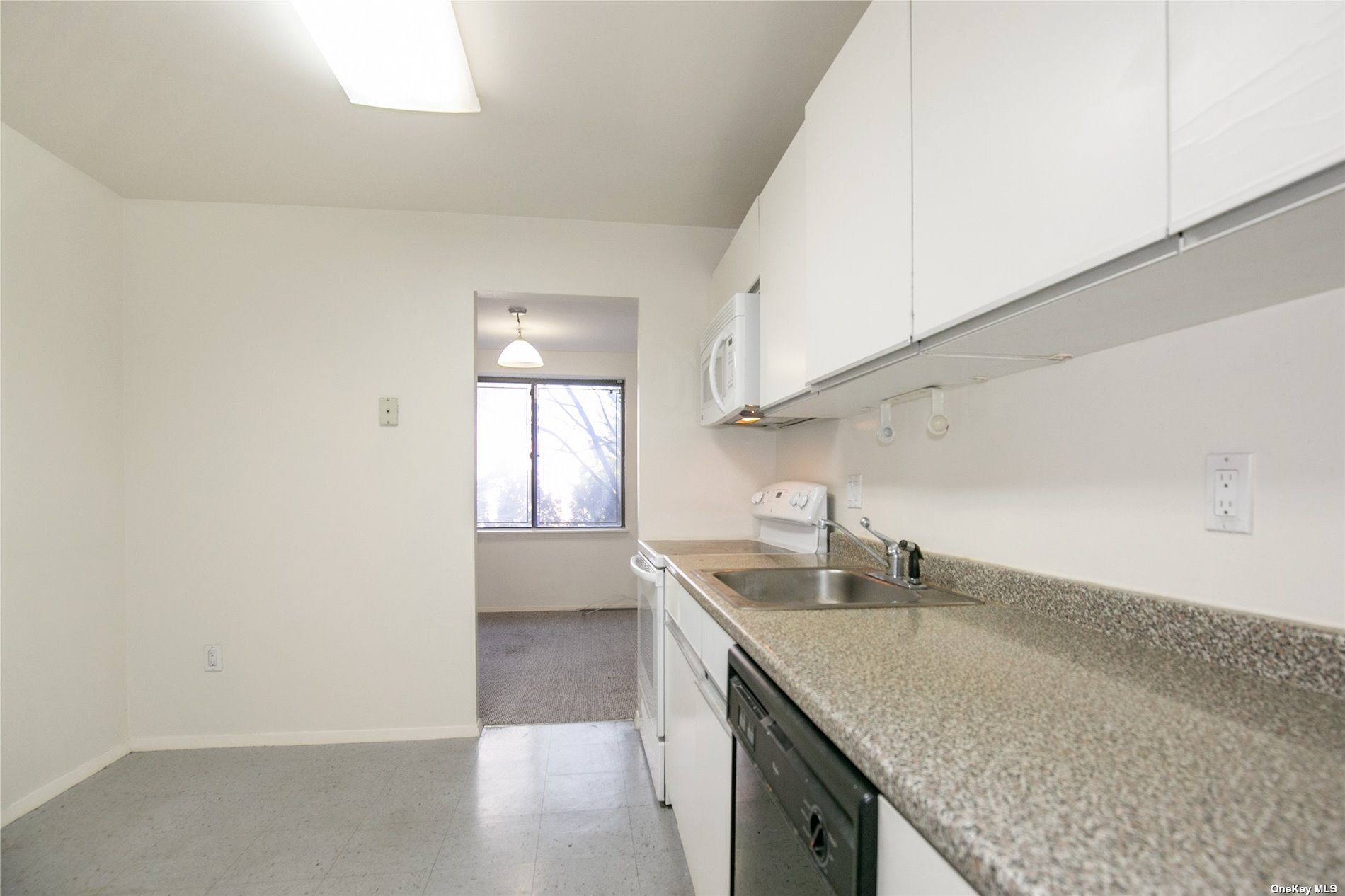 계약중 59만8천 CONTRACT 1 Ipswich Avenue 122, 롱 아일랜드 그레이트넥 Great Neck