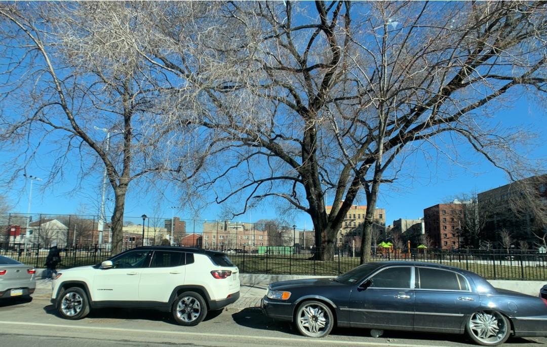 #7 photo, 755 Oakland Place, ブロンクス区 Bronx , NY 10457