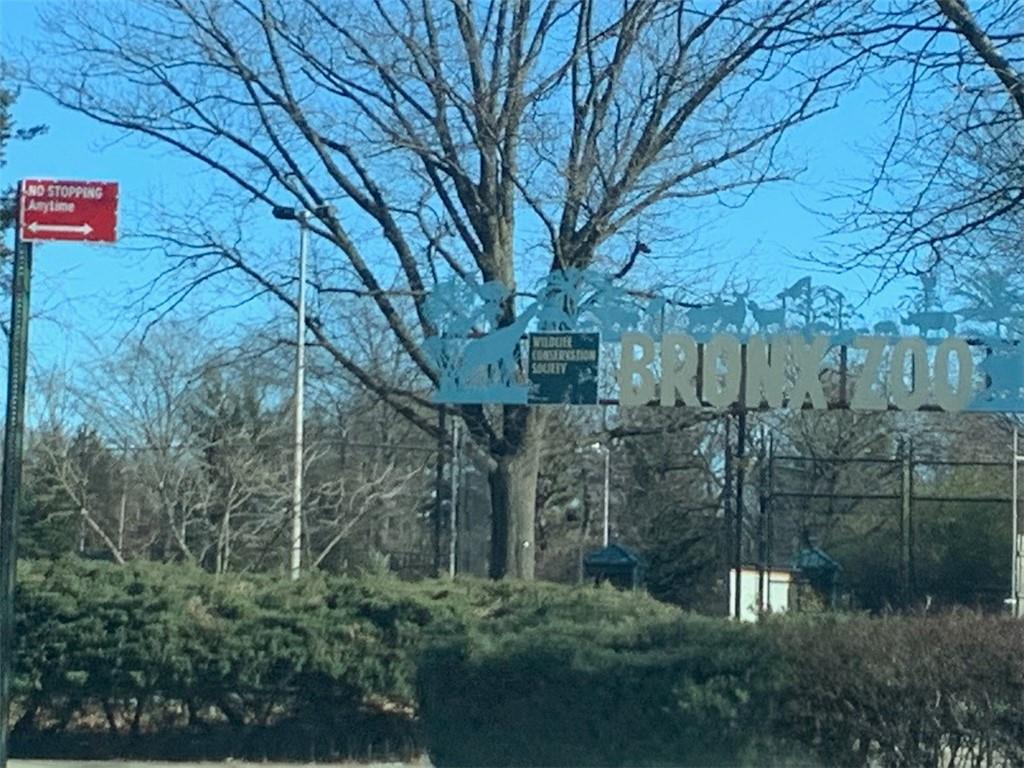 #8 photo, 755 Oakland Place, ブロンクス区 Bronx , NY 10457