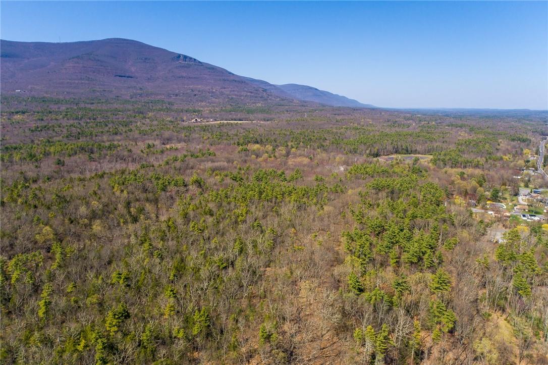 #10 photo, Rt 212 & Cottontail, Saugerties , NY 12598