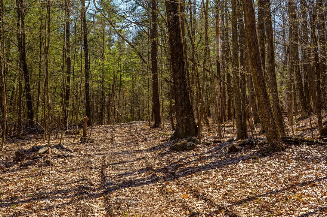 #2 photo, Rt 212 & Cottontail, Saugerties , NY 12598