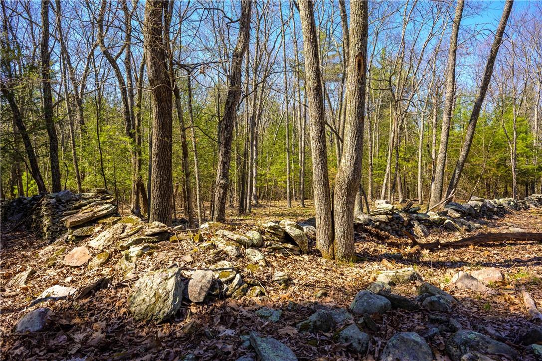 #3 photo, Rt 212 & Cottontail, Saugerties , NY 12598