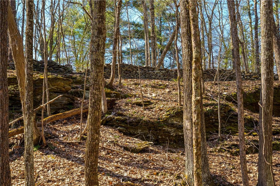 #4 photo, Rt 212 & Cottontail, Saugerties , NY 12598