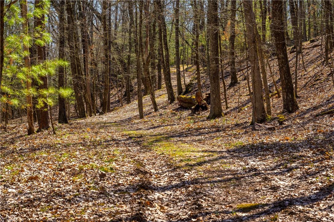 #5 photo, Rt 212 & Cottontail, Saugerties , NY 12598