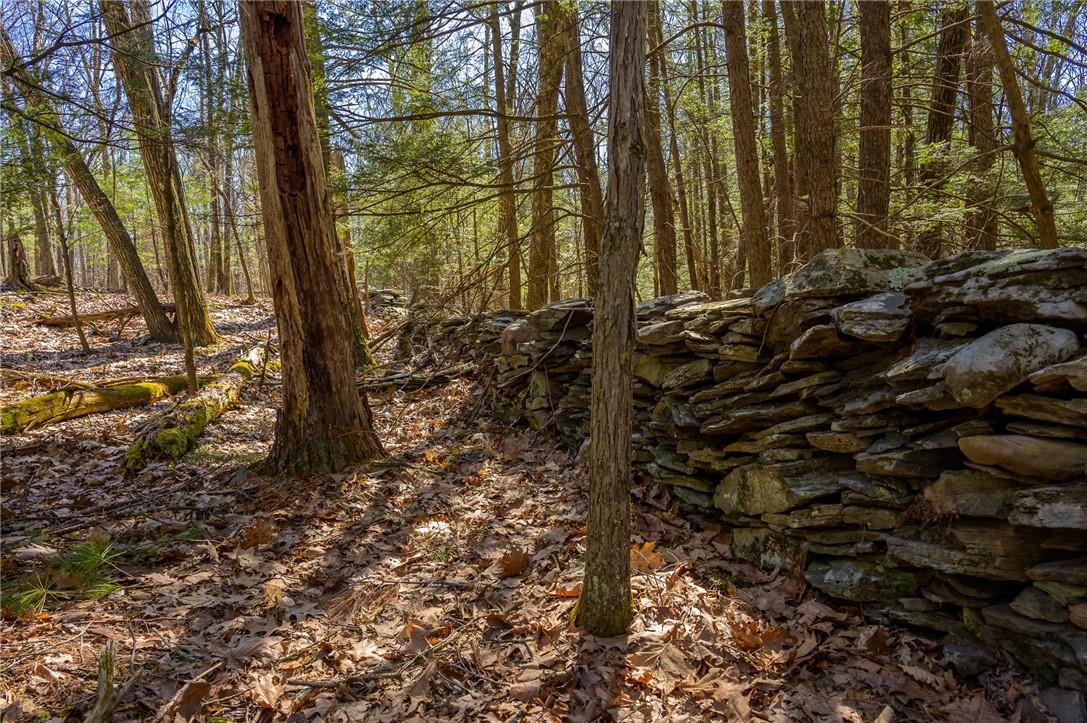 #6 photo, Rt 212 & Cottontail, Saugerties , NY 12598