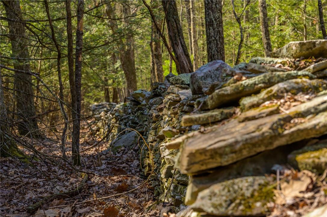 #7 photo, Rt 212 & Cottontail, Saugerties , NY 12598