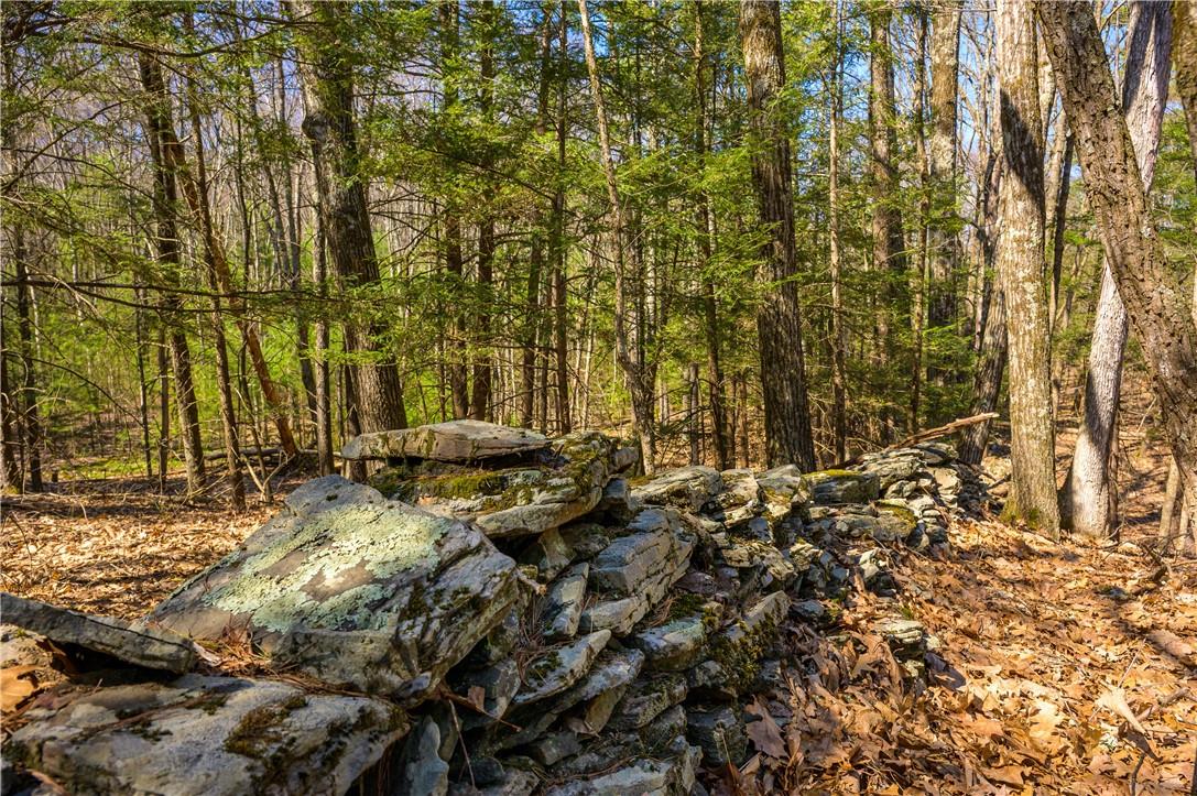 #8 photo, Rt 212 & Cottontail, Saugerties , NY 12598