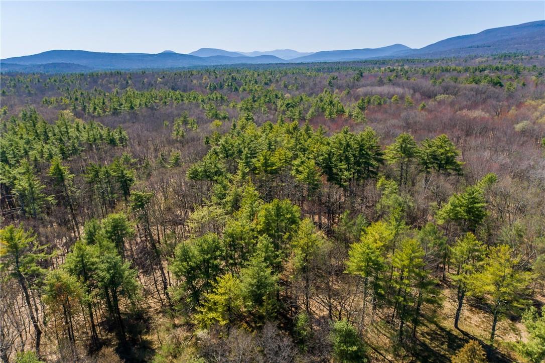 #9 photo, Rt 212 & Cottontail, Saugerties , NY 12598