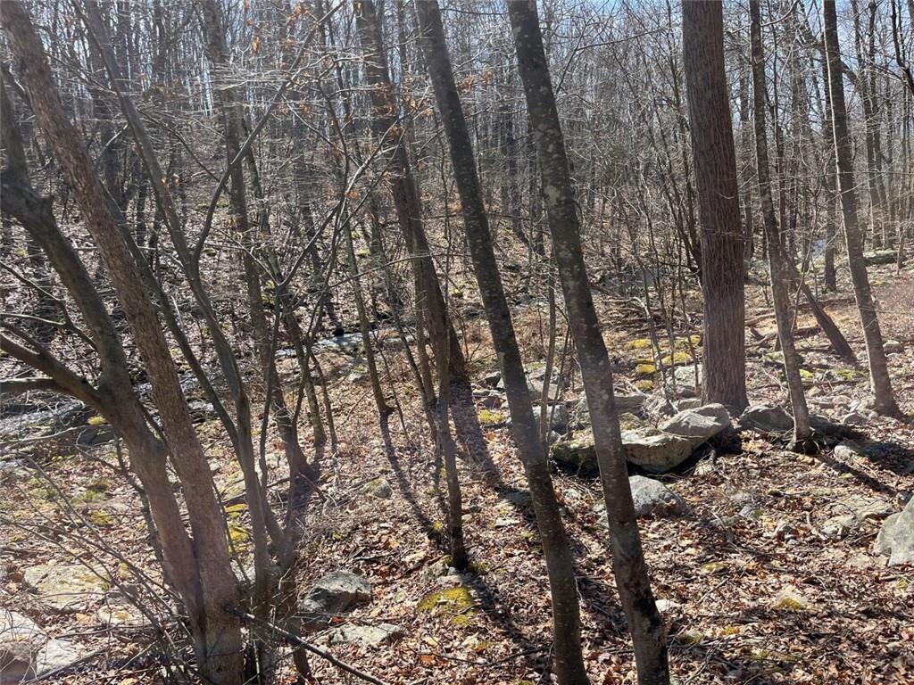 #17 photo, Greenville Turnpike, Port Jervis , NY 12771