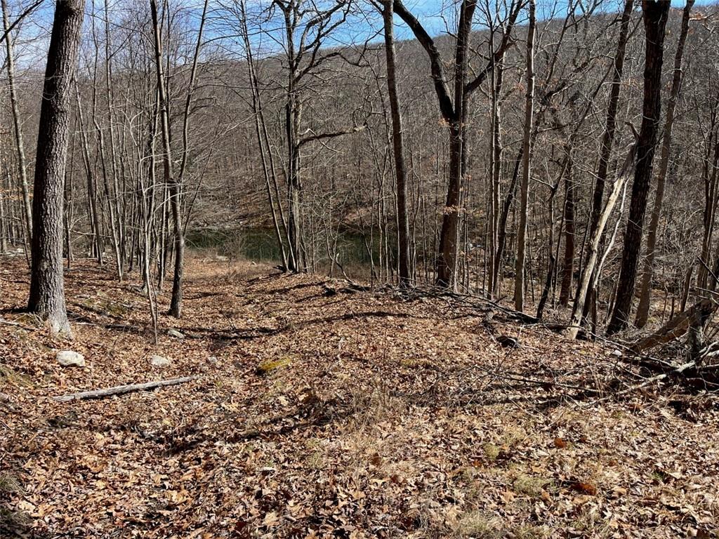 #18 photo, Greenville Turnpike, Port Jervis , NY 12771