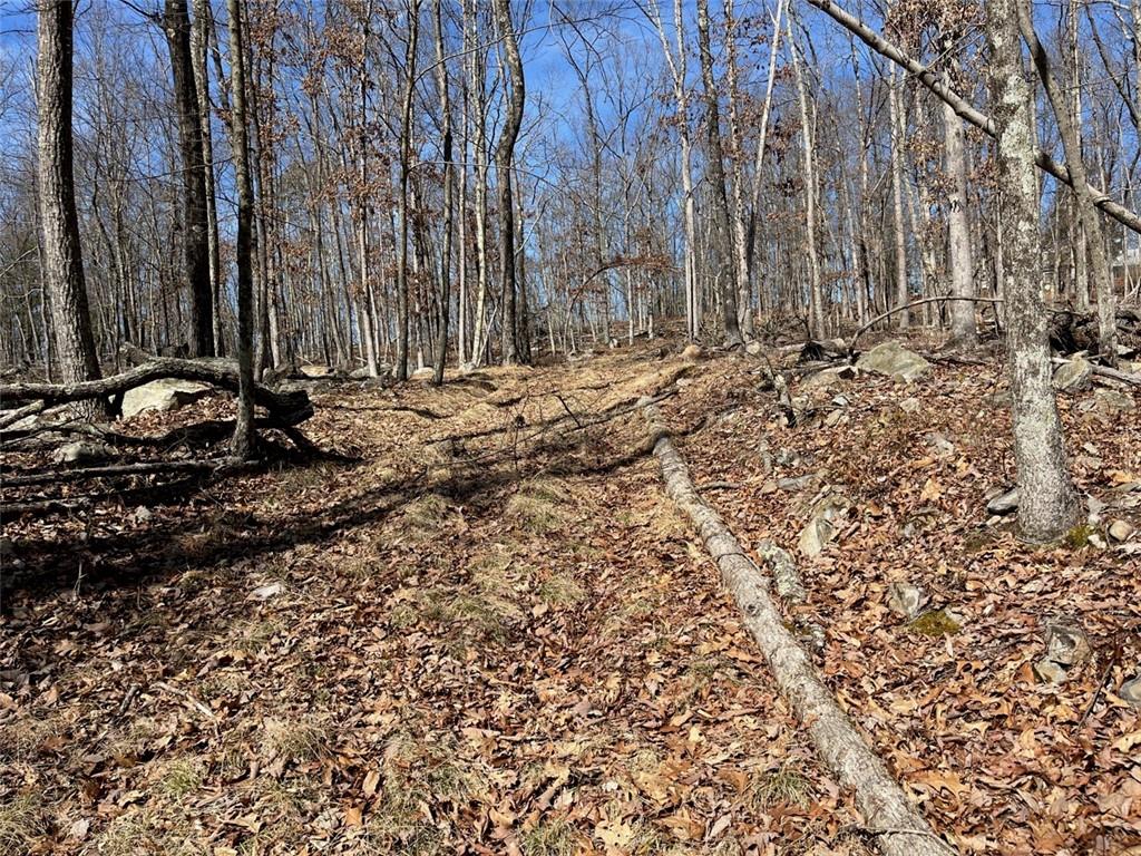 #20 photo, Greenville Turnpike, Port Jervis , NY 12771