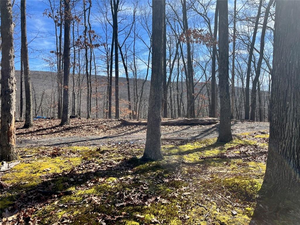 #3 photo, Greenville Turnpike, Port Jervis , NY 12771