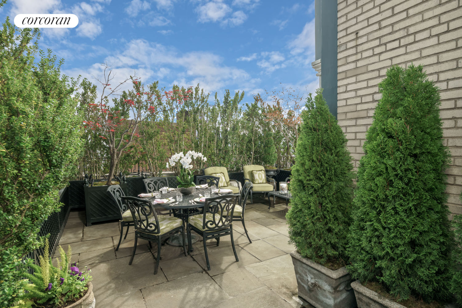 #11 photo, 895 PARK Avenue, マンハッタン Lenox Hill , NY 10075