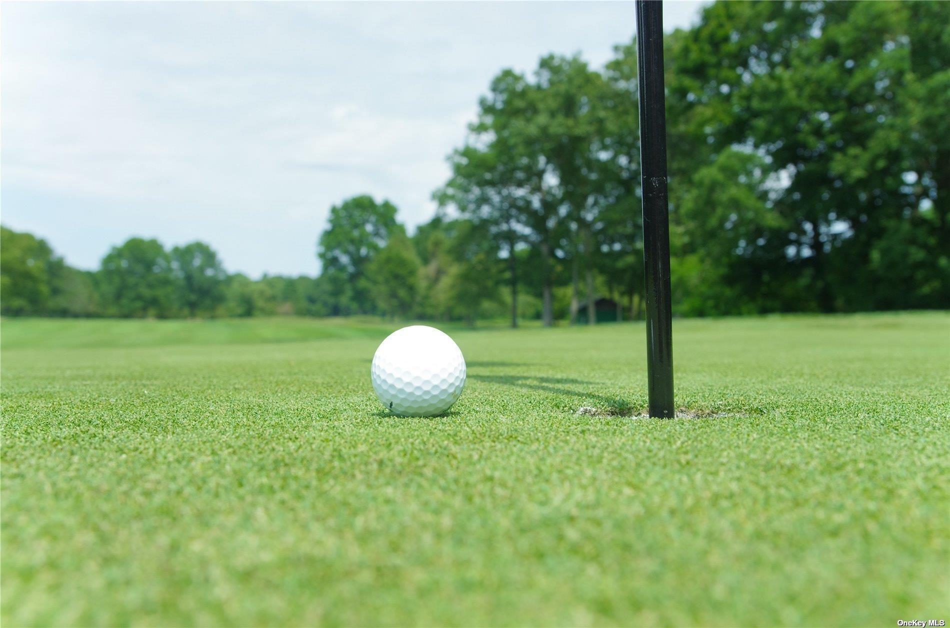 #19 photo, 2 Seaman Road, ナッソー郡 Glen Cove , NY 11542