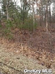 #3 photo, Middle Country Road, Middle Island , NY 11953